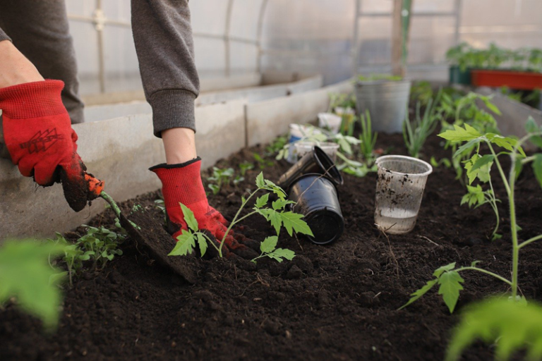 5 Tipps, die deine Gartenarbeit erleichtern!