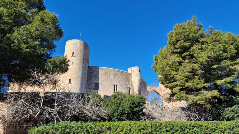 Immobilien auf Mallorca – wo lohnt sich das Investment wirklich?