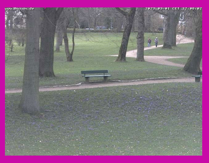 Das Wachsen der Krokusse im Husumer Schloßpark per Webcam beobachten