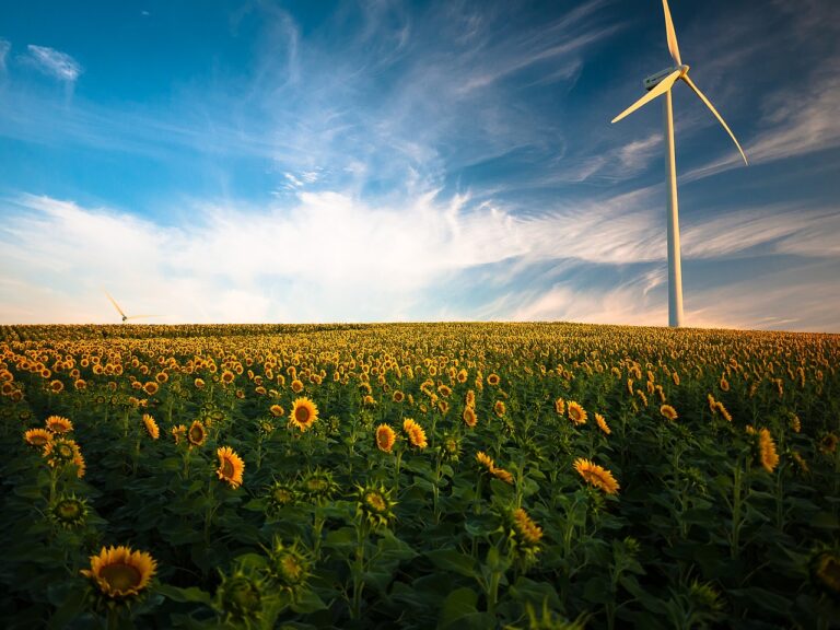 Nachhaltiger Hausbau in Husum: Wie wir von den Windmühlen lernen können