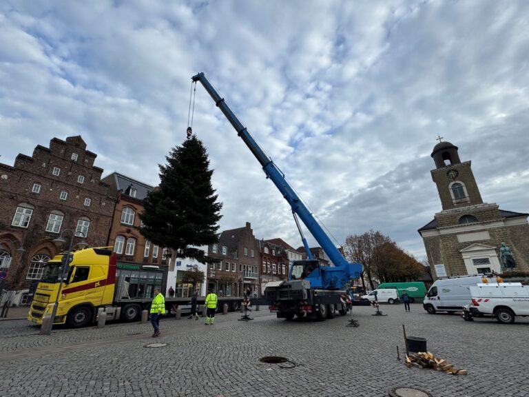 Die Husumer Weihnachtstanne ist eingetroffen und aufgebaut